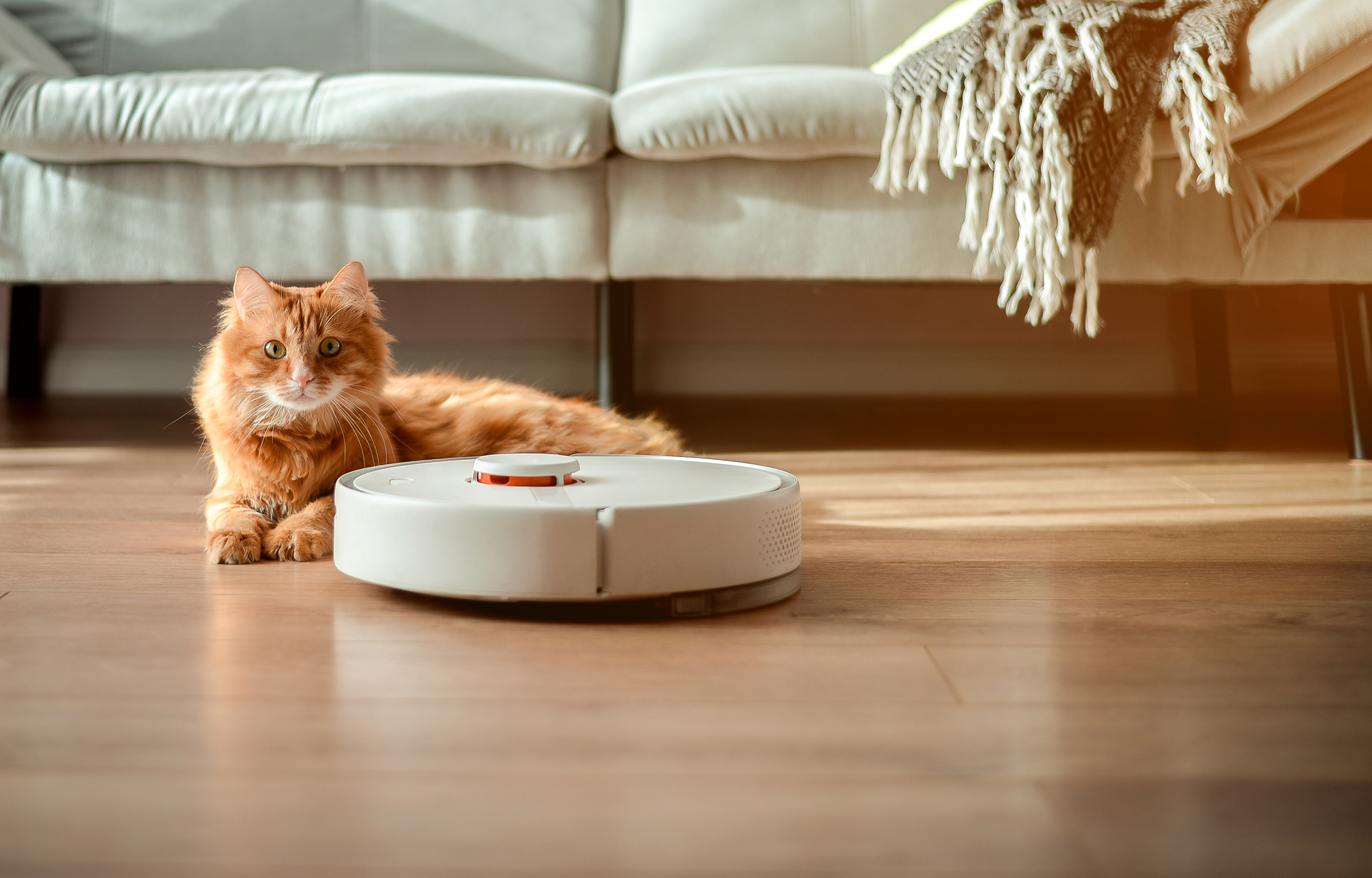 Choosing the Best Direction to Lay Your Luxury Vinyl Flooring
