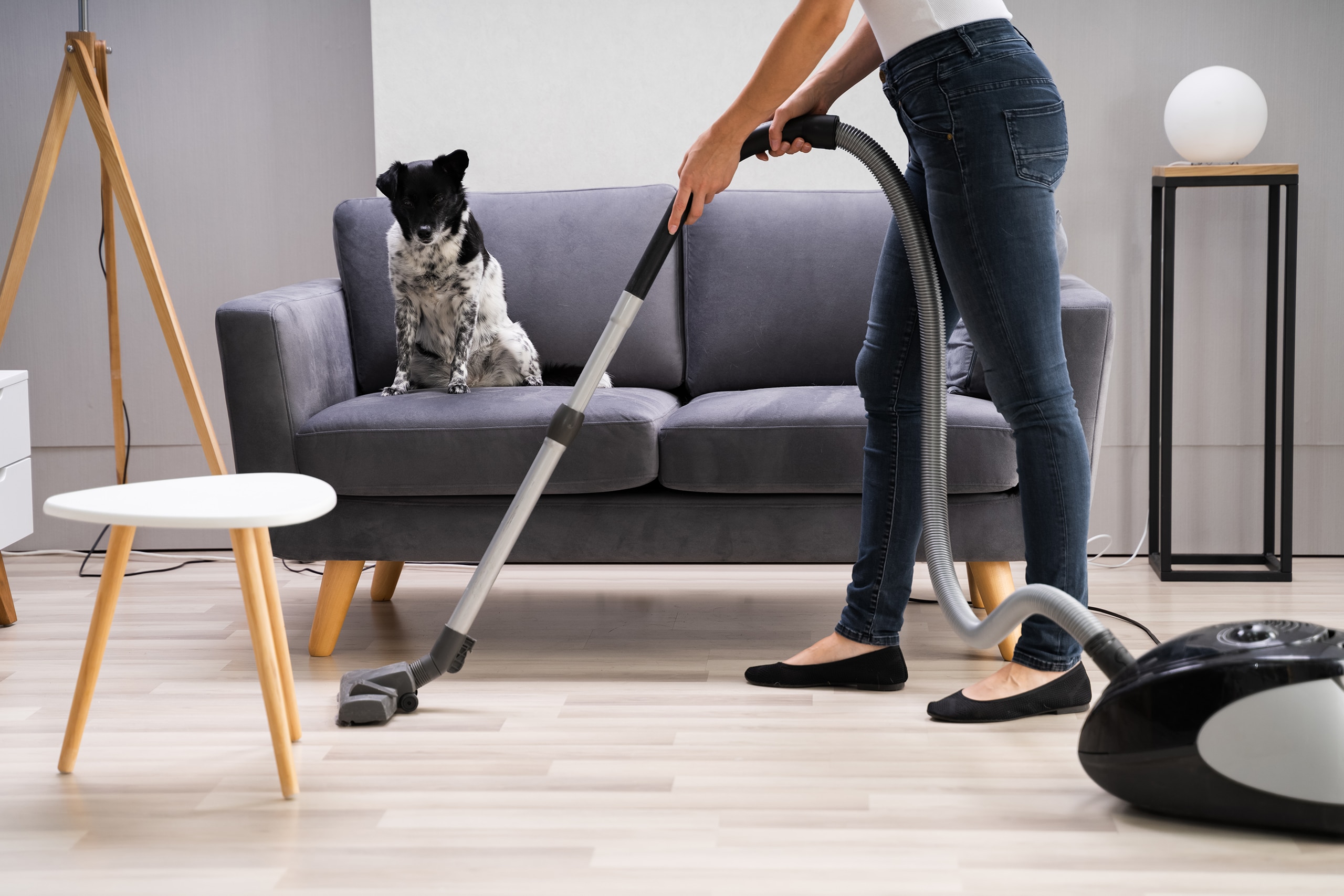 Seasonal Tips for Cleaning Luxury Vinyl Flooring in Chesapeake